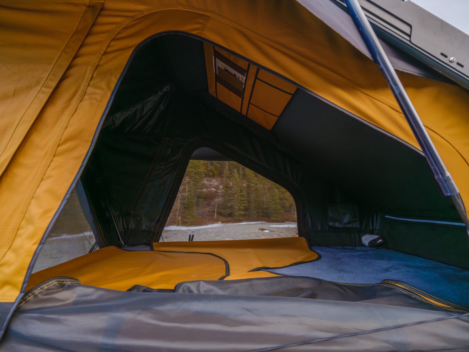 The Bivouac