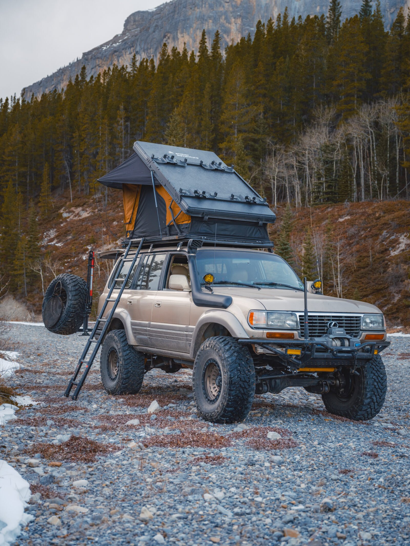 The Bivouac