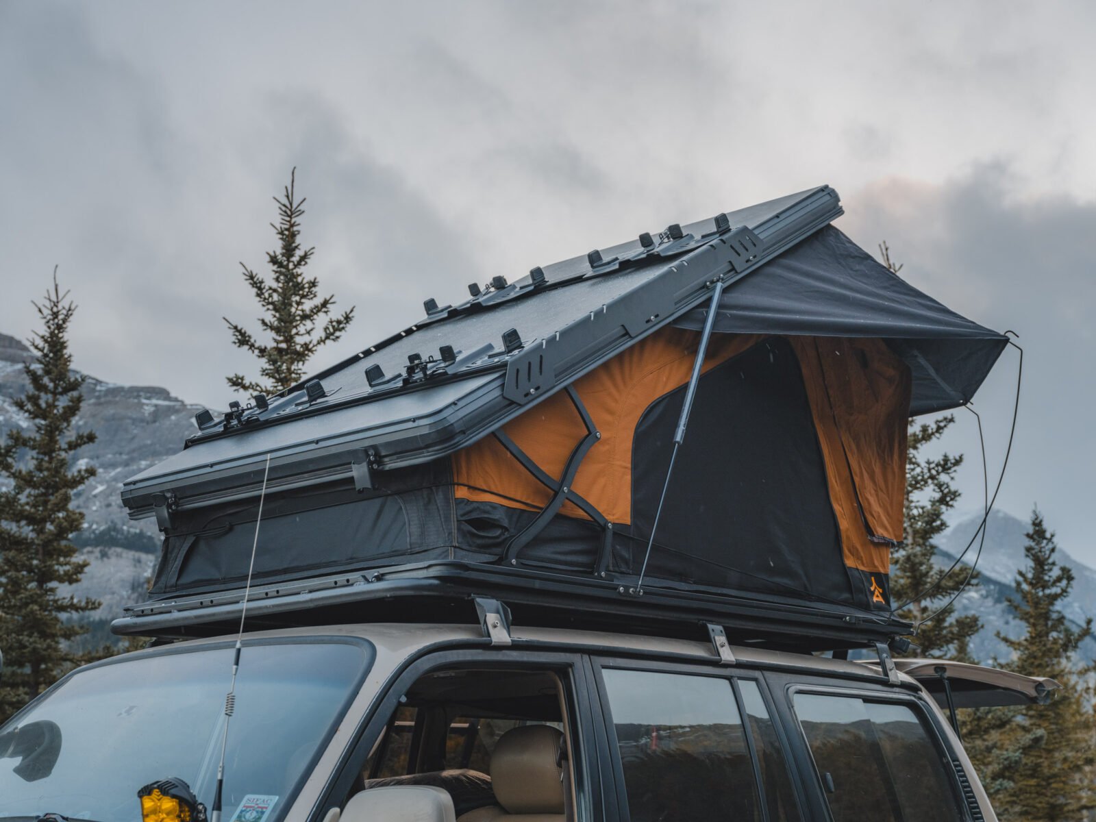 The Bivouac