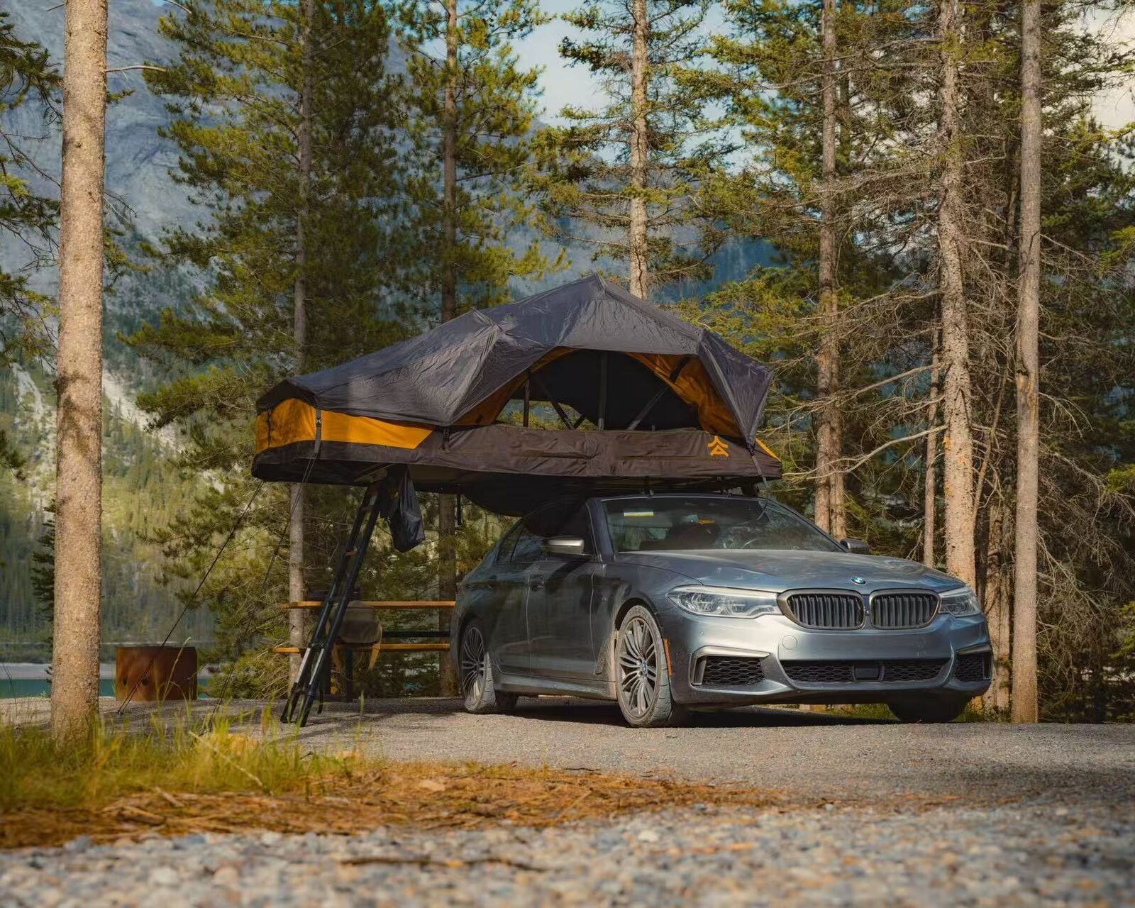The Cabin Lite