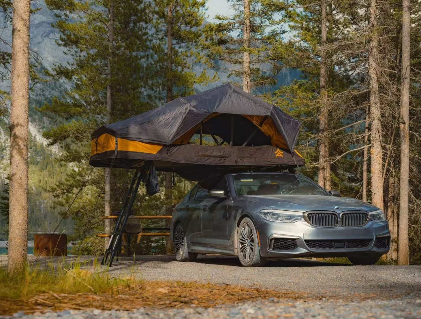 The Cabin Lite